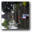 [Click to enlarge image]