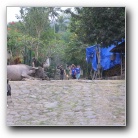 [Click to enlarge image]