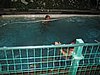 IMG_0146.jpg